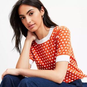 Loft Dotted Sweater Tee